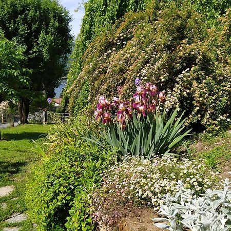 Il Bogno B&B Lierna Kültér fotó