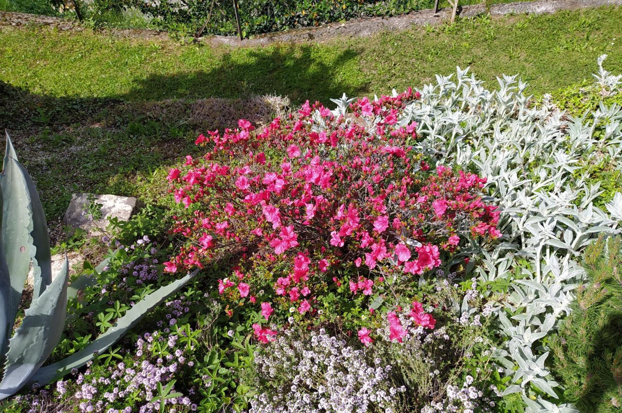 Il Bogno B&B Lierna Kültér fotó