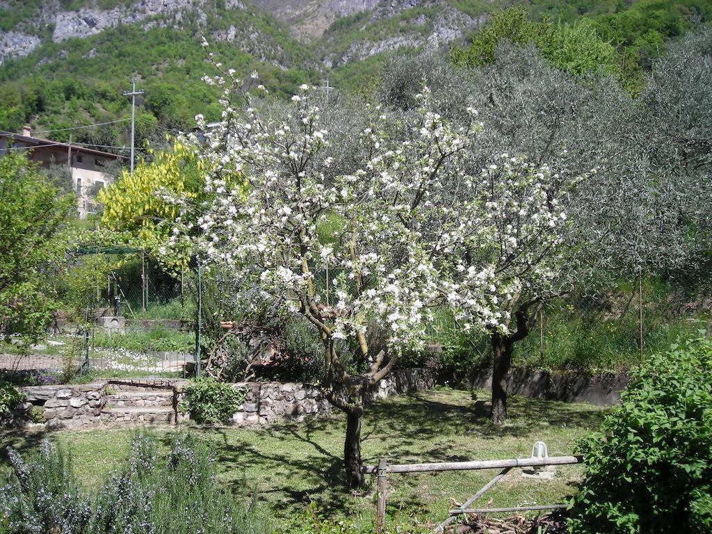 Il Bogno B&B Lierna Kültér fotó