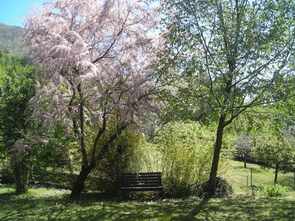 Il Bogno B&B Lierna Kültér fotó